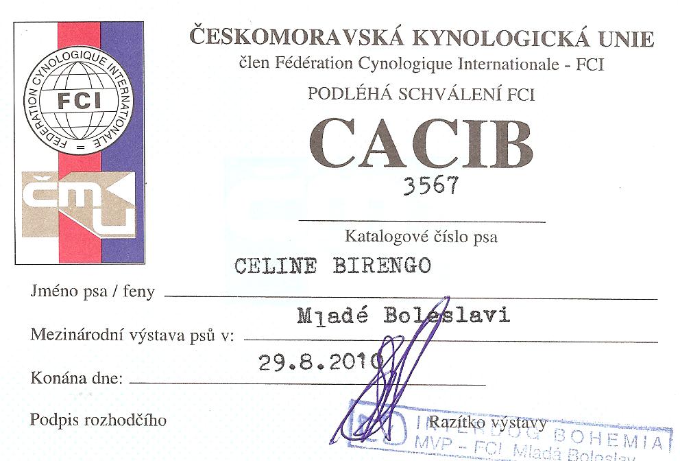 CACIB 29.8.10 Ml.Boleslav