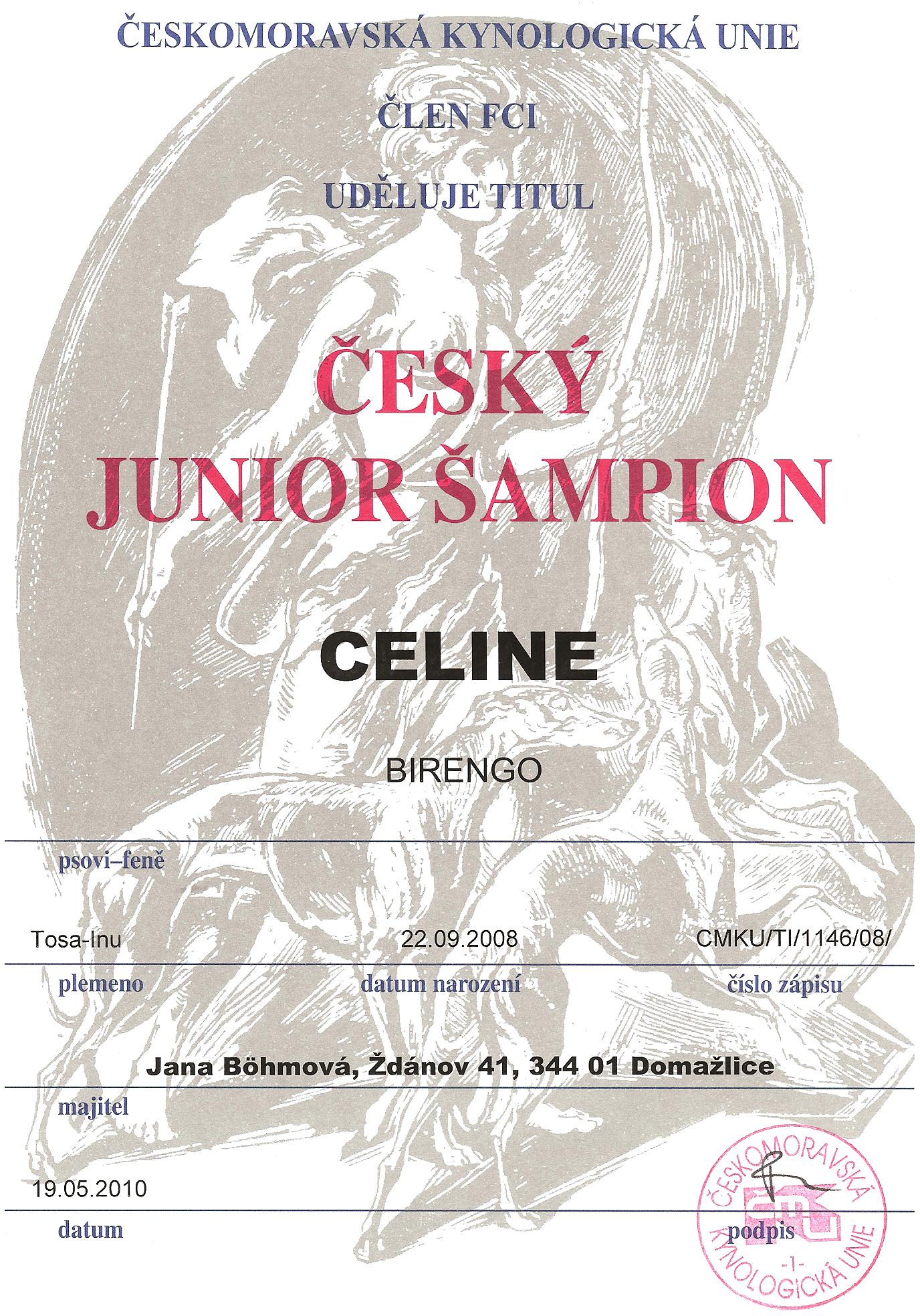 Junior šampion